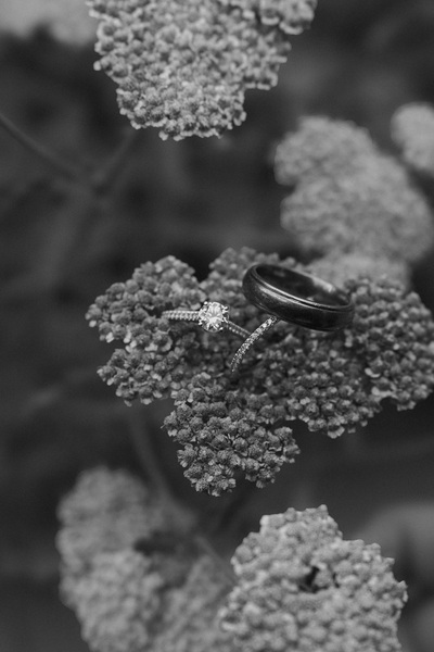 Vows In Bloom