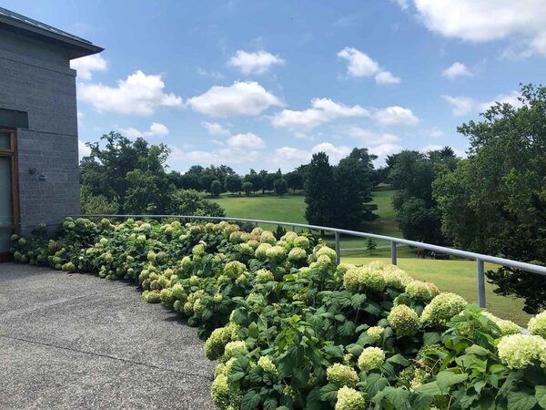 Maymont