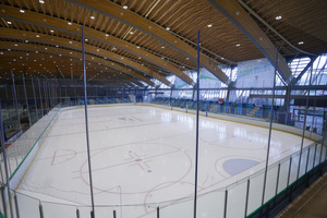 The Ice Zone