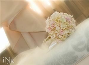 Pathogen Ink Photography