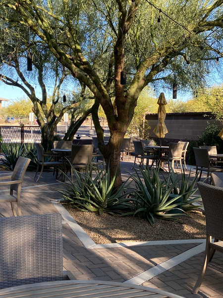 Venue8600