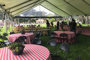Playfield Lawn