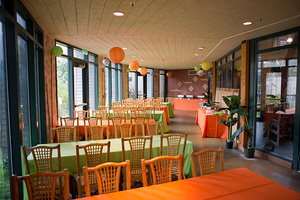 Lemur Room
