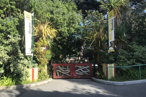 Wildlife Theater