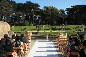 African Savanna