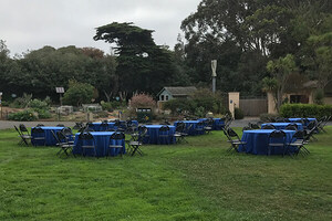 Patas Lawn
