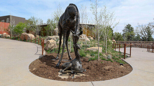 Cheyenne Mountain Zoo