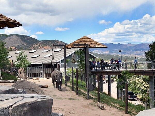 Cheyenne Mountain Zoo