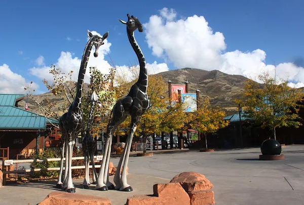 Utah Hogle Zoo