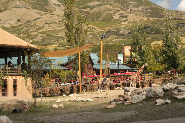Utah Hogle Zoo