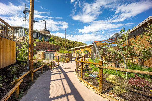 Utah Hogle Zoo