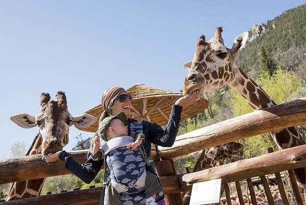 Cheyenne Mountain Zoo
