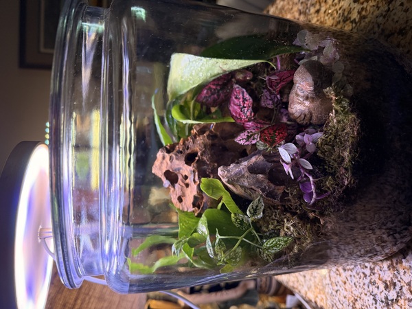 The Heritage Habitat