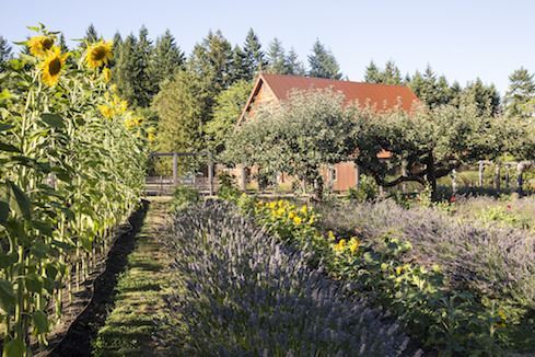 Heyday Farm House