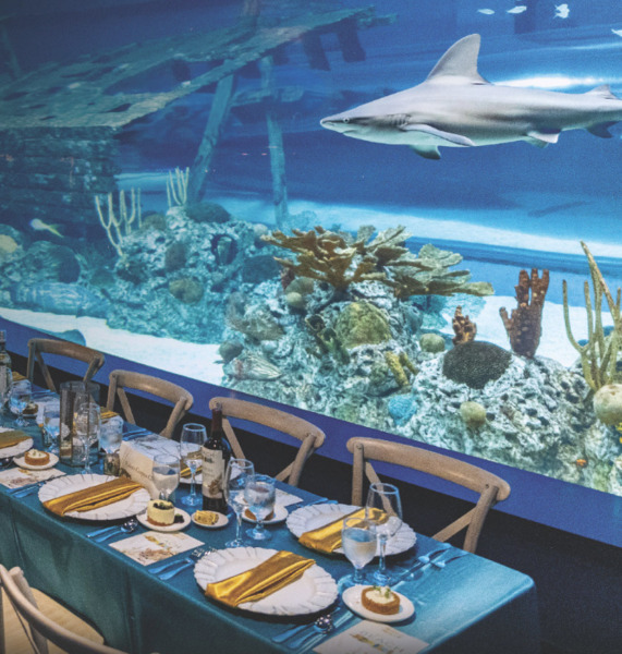 Texas State Aquarium
