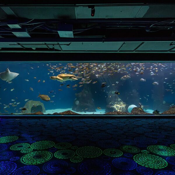 The Florida Aquarium