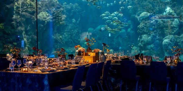 The Florida Aquarium