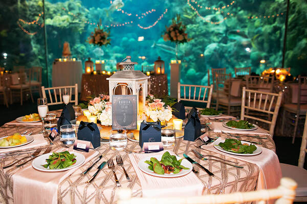 The Florida Aquarium