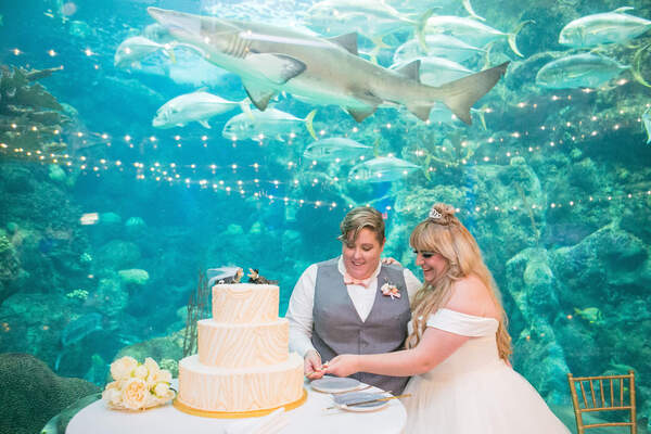 The Florida Aquarium