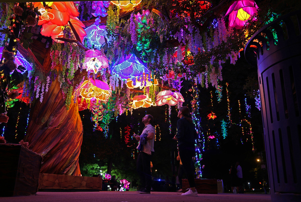 Dallas Zoo