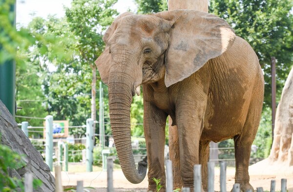 Louisville Zoo