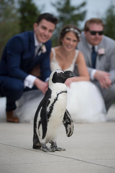 Columbus Zoo and Aquarium