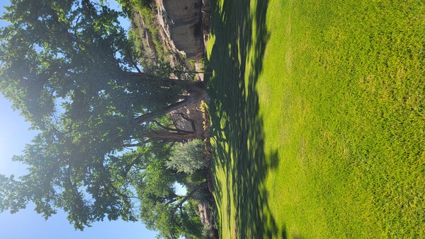 Cottonwood Crossing