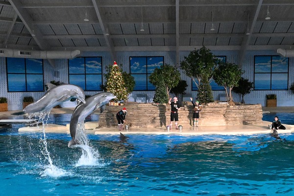 Brookfield Zoo