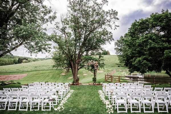 Shady Elms Farm
