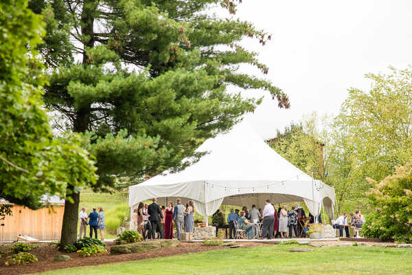 Shady Elms Farm