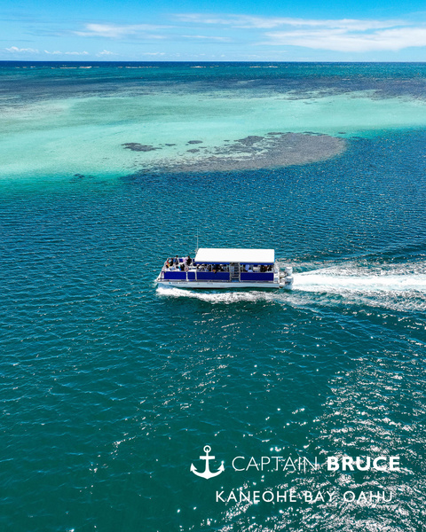 Captain Bruce