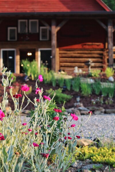 Barn 697