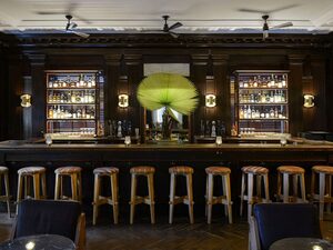 Bar Calico