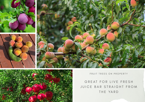 * SD Mansion, Estate, Pool/Hot Tub, Game Room & Vineyard with Optional Event Planning Experience *