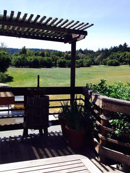 Hallcrest Vineyards and Santa Cruz Scrumpy Cider