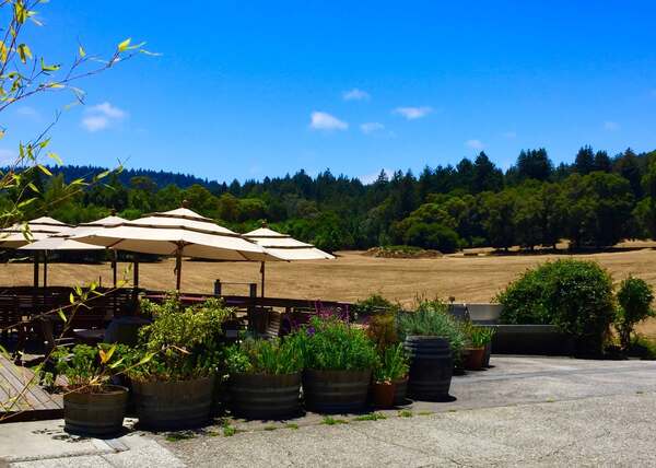 Hallcrest Vineyards and Santa Cruz Scrumpy Cider