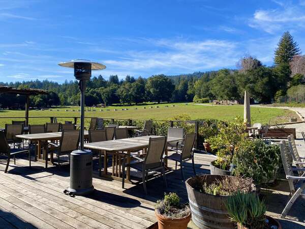 Hallcrest Vineyards and Santa Cruz Scrumpy Cider