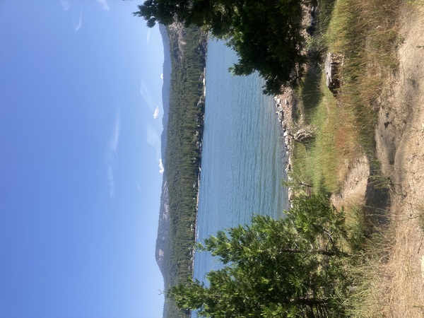 Bass Lake Dream Wedding