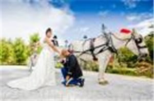 Royale Signature Events