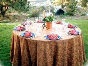 Set in Your Way Rentals