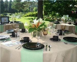 Set in Your Way Rentals