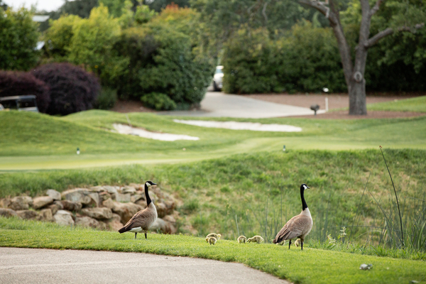 Granite Bay Golf Club