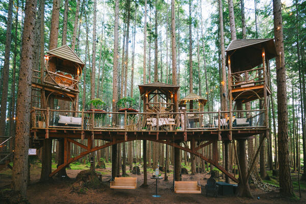 Emerald Forest Meetings & Retreats