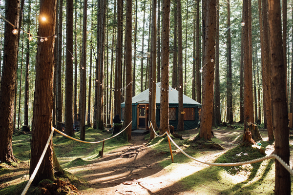 Emerald Forest Meetings & Retreats