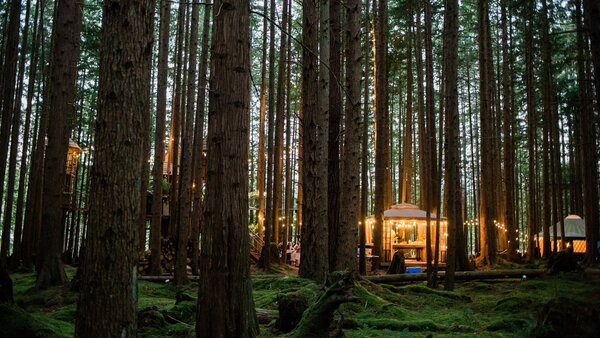 Emerald Forest Meetings & Retreats