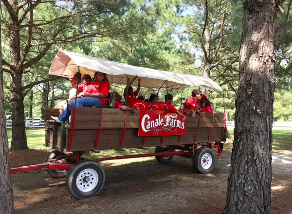 Canale Farms