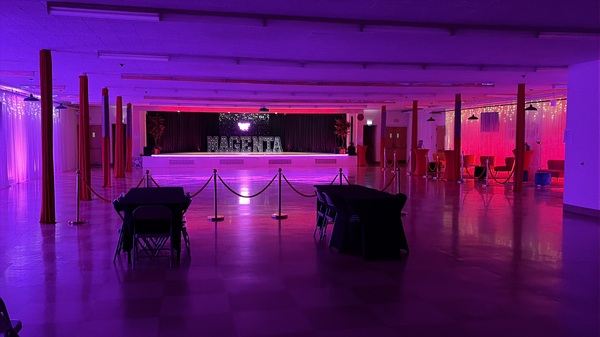 Magenta Dance Place
