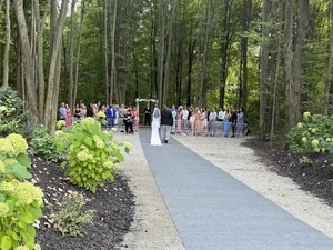 Weddings in the Woods