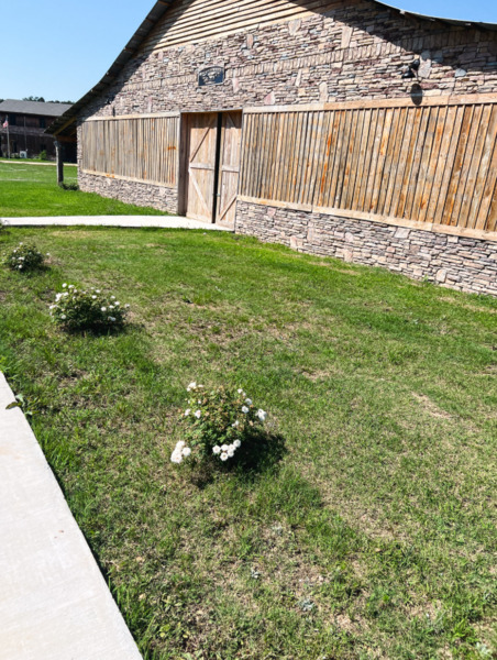 Scottarosa Farms