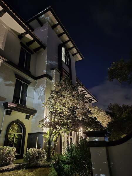 Tree of Life Events Space